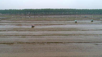 Farmers use rice transplanters to grow rice on farms in North China