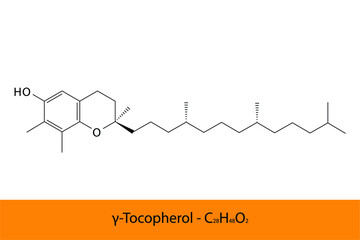 γ Gamma Tocopherol Skeletal structure and molecular formula. Organic biomolecule, isolated vector illustration
