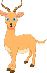 cartoon cute deer on white background
