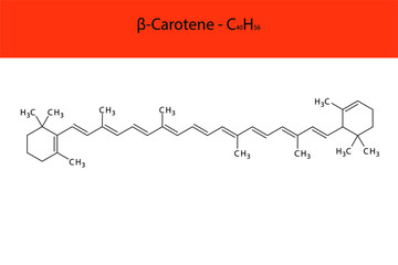 β Beta Carotene Skeletal structure and molecular formula. Organic biomolecule, isolated vector illustration