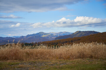 長野県　霧ヶ峰高原

