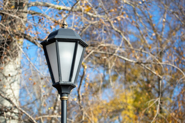 Fototapeta na wymiar Street lamp in the park