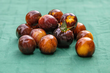 fresh cherry tomatoes of different varieties on the green background, closeup