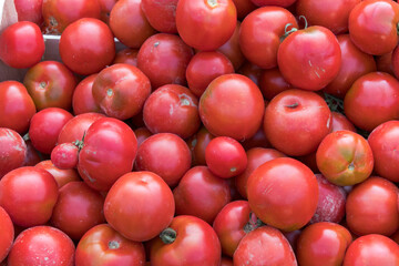 group of red ripe and delicious tomatoes for sale in an urban market in france