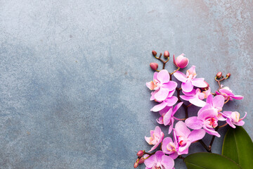 Obraz na płótnie Canvas Pink spa orchid theme objects on pastel background.