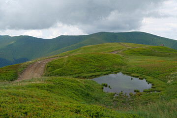 Little lake in Carpathian Mountains in Ukraine, Polonina Borzhava mountain range
