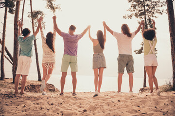 Obraz premium Rear back view photo of students friends gathering coast raise hands wear casual clothes nature summer seaside beach