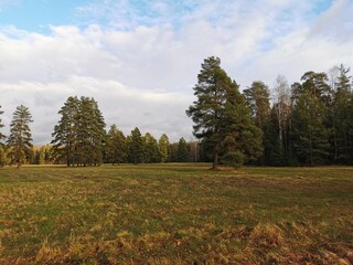 late autumn in Pavlovsky Park fallen foliation and cold wind stone vase