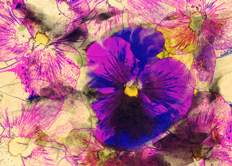 Purple pansies retro card