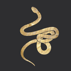 chic golden luxurious retro vintage engraving style. image of the sun and moon phases. culture of accultism. Vector graphics