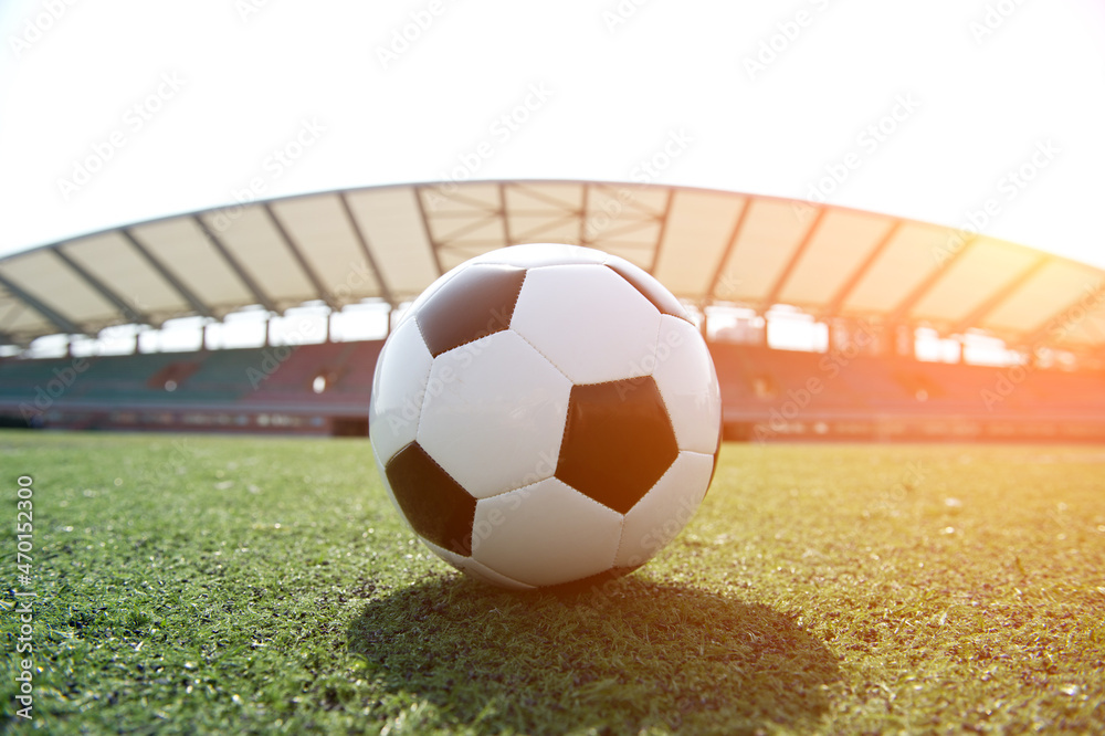 Wall mural soccer ball in front of the goal door..