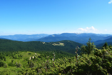 Wonderful summer countryside landscape in Carpathian mountains. Picturesque valley, greens of forests and meadows.