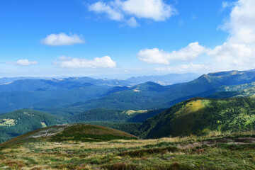 Picturesque meadows with hills in Carpathian mountains in sunny summer day. Wonderful nature of mountains.