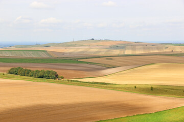 Fields of the Pewsey Vale, Wiltshire at harvest