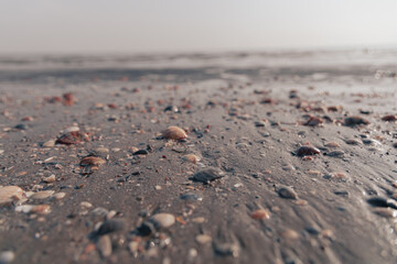 clams road