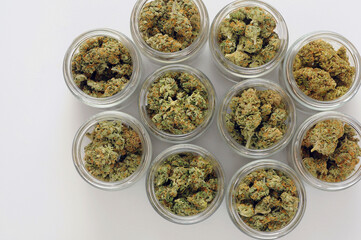 Cannabis drying and curing. Marijuana buds in glass jars. Eco container. Hemp growing concept.