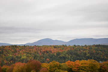 Vermont Foliage