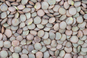 Green and brown lentils seamless pattern background