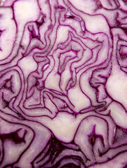Obraz premium Close up of section through a red cabbage showing leaf detail