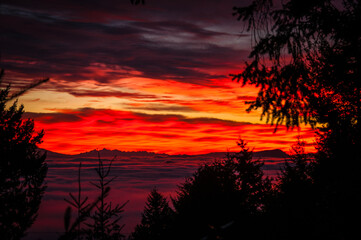 Fototapeta premium sunset over the river