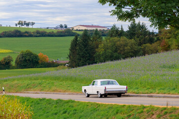 Oldtimer vintage american luxury car on a country road on a summer morning