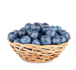 Blackthorn basket isolated on white background