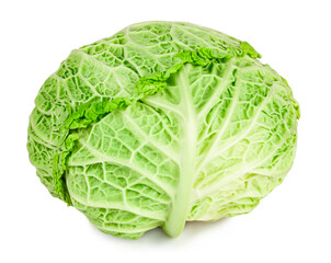 Fototapeta premium Savoy cabbage isolated on a white background