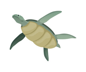 Turtle character. Green sea or ocean tortoise swimming. Wildlife animal in shell. Flat vector illustration isolated on white background