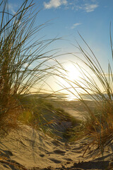 Sunset in the sand dunes with beach grass