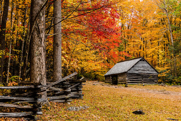 old barn in autumn forest © Greg Meland
