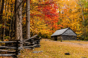 old barn in autumn forest