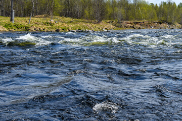 Whirlpools of the forest river due to the strong current. Spring in the north of Russia.