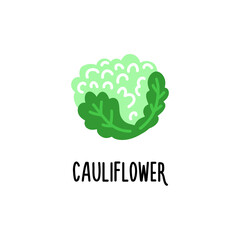 A clipart with cauliflower on a white background. Isolated vector illustration