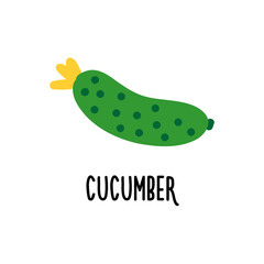 Isolated vector illustration of cucumber. Flat design