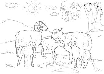 A flock of sheep. Coloring pages.Outline image.