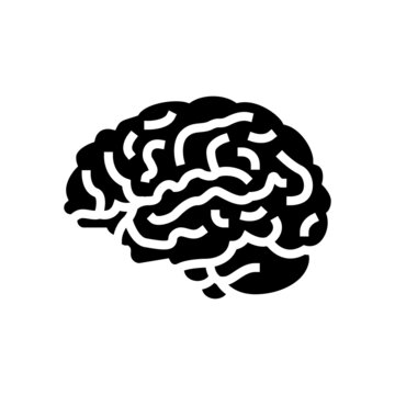 brain anatomy organ glyph icon vector. brain anatomy organ sign. isolated contour symbol black illustration