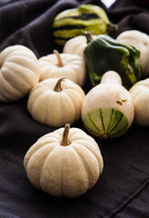 Assorted green and white pumpkins and gourds on black background