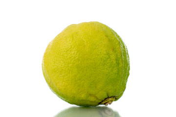 One fragrant bergamot, close-up, isolated on white.
