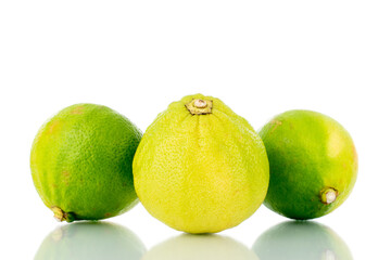 Three fragrant bergamot, close-up, isolated on white.