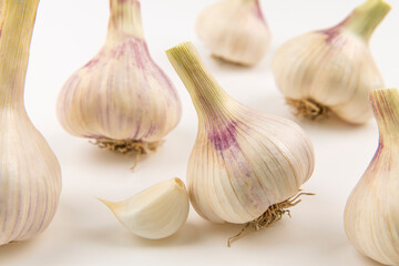 fresh garlic