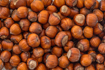 Hazelnuts in the shell. Round filbert, ripe fruit of a Corylus avellana hazel shrubs.