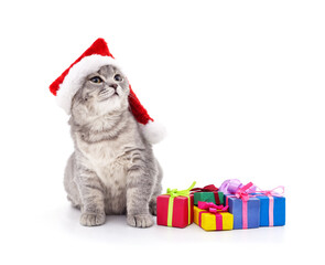 Cat in the hat Santa with Christmas gifts.