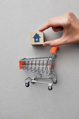 a shopping basket and a drawing of a house above it. Symbol of buying and selling housing