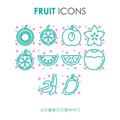 Collection of natural organic fruits icons. Colorful tropical plants. Isolated vector icons.