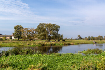Lato w Dolinie Narwi i Biebrzy, Podlasie, Polska