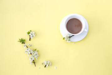 a white cup with cocoa on a yellow background, branches of a flowering apple tree. Top view.