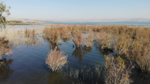 The west coast Sea of Galilee, also called Lake Tiberias, Kinneret or Kinnereth, is a freshwater lake in Israel
