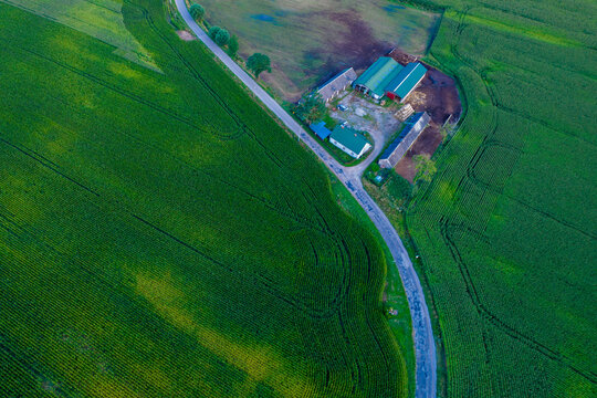 Aerial view of the corn fields - in the middle an agrotourism farm. 