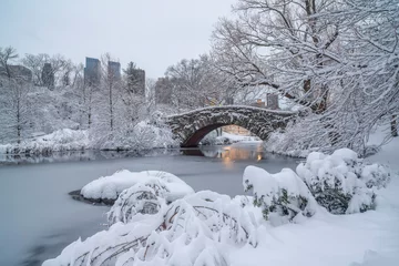 Cercles muraux Pont de Gapstow Gapstow Bridge dans la tempête de neige de Central Park