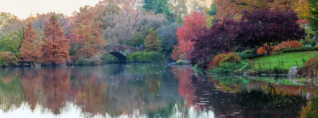 Photo sur Plexiglas Pont de Gapstow Gapstow Bridge dans Central Park en automne